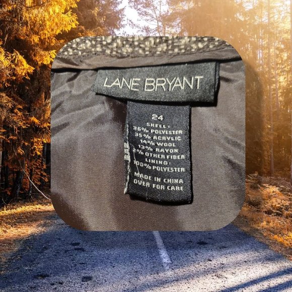 Lane Bryant brown & cream wool skirt, size 24 - Picture 4 of 5